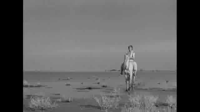 「赤い風船 4K」「白い馬 4K」＋公開記念特集上映「アルベール・ラモリスの知られざる世界」予告編