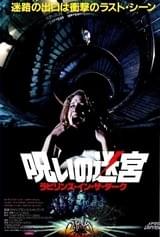 呪いの迷宮 ラビリンス・イン・ザ・ダーク