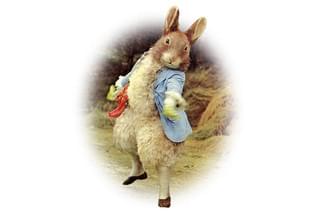 ピーターラビットと仲間たち ザ・バレエ