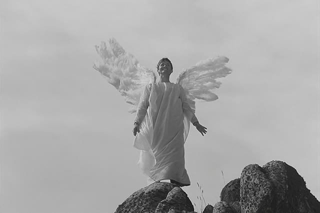 フィフィ大空をゆく