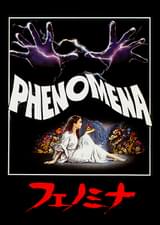 フェノミナ