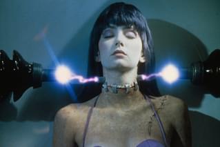 フランケンフッカー