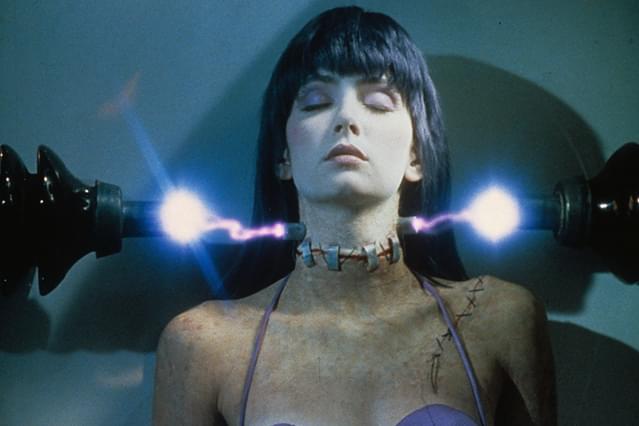 フランケンフッカー