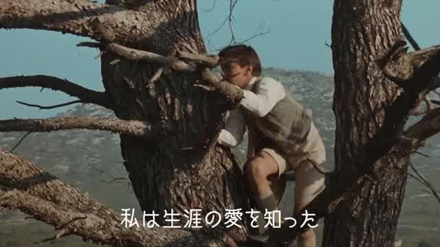 「プロヴァンス物語」2部作デジタルリマスター4K版予告