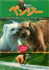 ベンジー(1975)