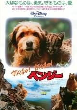 がんばれ!がんばれ!ベンジー