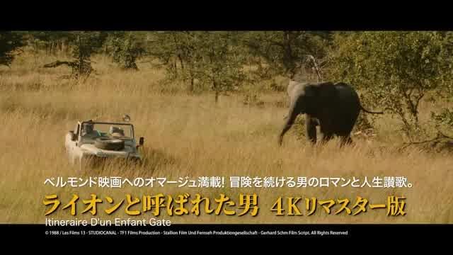 「ジャン＝ポール・ベルモンド傑作選グランドフィナーレ」予告編