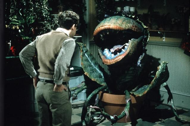 リトル・ショップ・オブ・ホラーズ