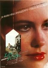 レディバニッシュ 暗号を歌う女