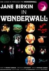 ワンダーウォール