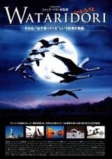 WATARIDORI