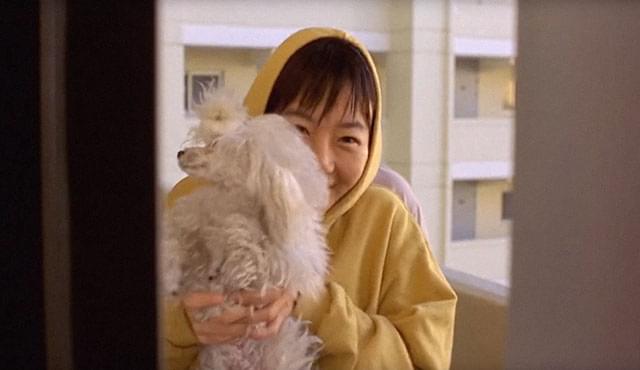 ほえる犬は噛まない : 作品情報・キャスト・あらすじ - 映画.com