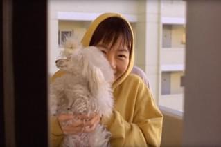 ほえる犬は噛まない