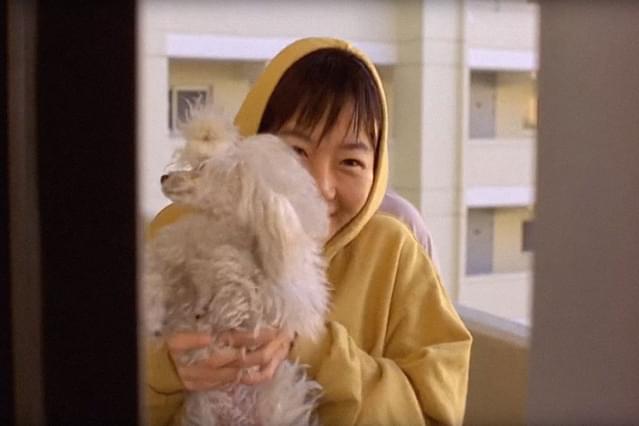 ほえる犬は噛まない