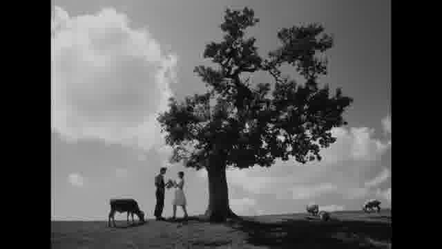 特集「オタール・イオセリアーニ映画祭」予告編