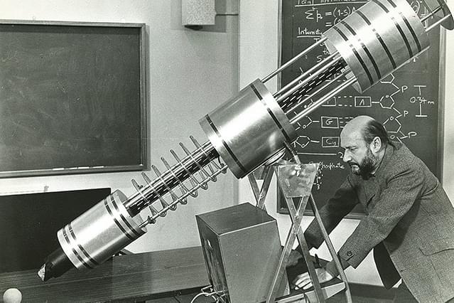 悪魔の植物人間