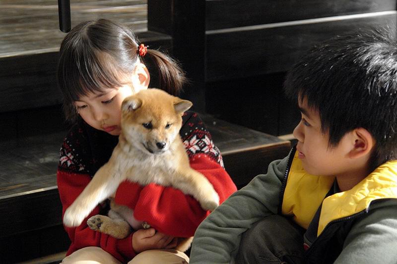 マリと子犬の物語 : 作品情報・キャスト・あらすじ - 映画.com