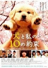 犬と私の10の約束