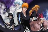劇場版BLEACH ブリーチ The DiamondDust Rebellion もう一つの氷輪丸