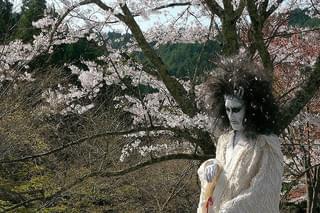 裸の夏 THE NAKED SUMMER