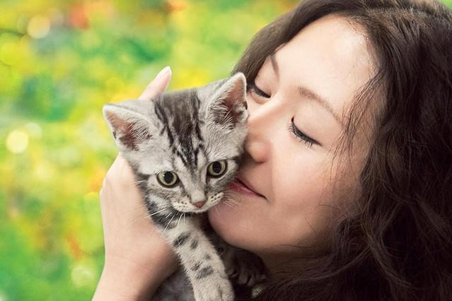 グーグーだって猫である