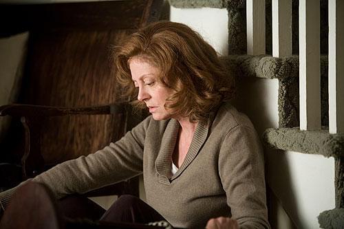 スーザン・サランドンの「告発のとき」の画像