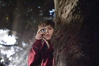 スパイダーウィックの謎