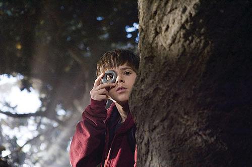 スパイダーウィックの謎