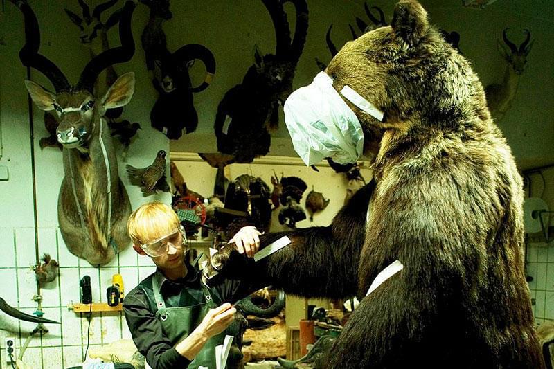 タクシデルミア ある剥製師の遺言 : 作品情報・キャスト・あらすじ