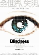 ブラインドネス