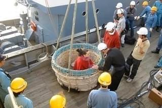 マシューバーニー 拘束ナシ