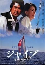 ジャイブ 海風に吹かれて