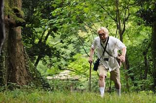 黄金花 秘すれば花 死すれば蝶