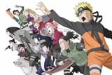 劇場版NARUTO ナルト 疾風伝 火の意志を継ぐ者
