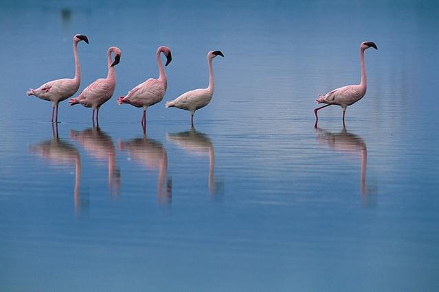 インタビュー動画