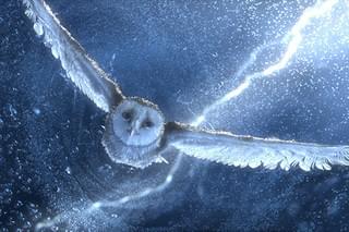 ガフールの伝説