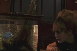 BLUE PACIFIC STORIES