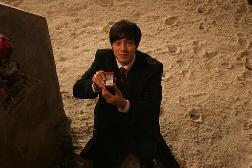 ソフィーの復讐