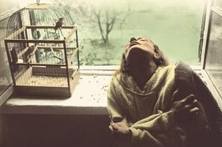 ボヴァリー夫人（1989・2009）