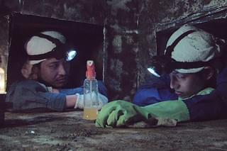 Mogera Wogura モゲラウォグラ