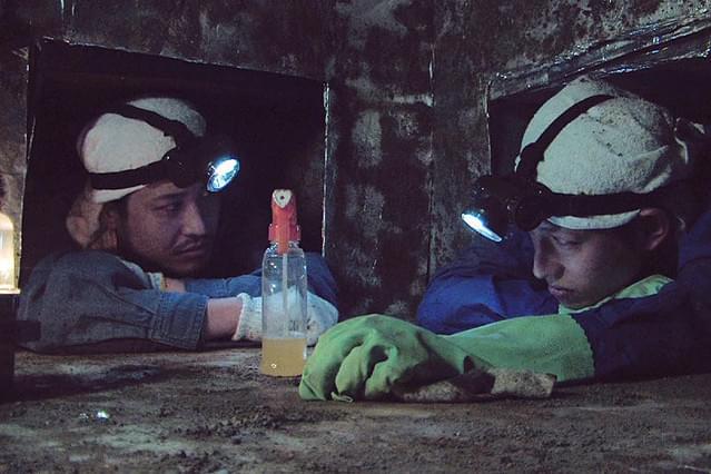 Mogera Wogura モゲラウォグラ