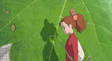 画像12