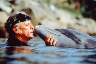 ザ・コーヴの評論