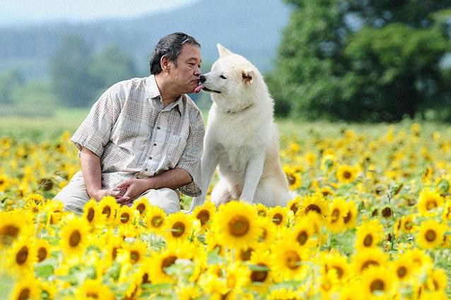 星守る犬 : 作品情報・キャスト・あらすじ - 映画.com