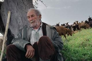 四つのいのちの予告編・動画