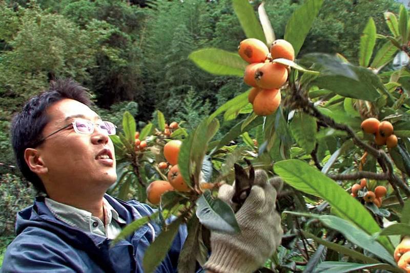 ミツバチの羽音と地球の回転 : 作品情報・キャスト・あらすじ・動画