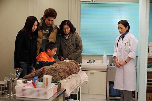 ロック わんこの島