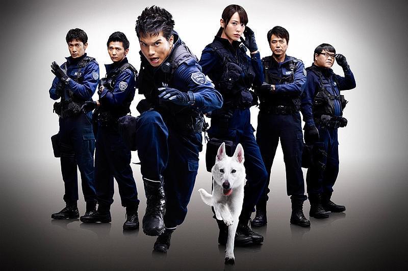 DOG×POLICE 純白の絆 : 作品情報・キャスト・あらすじ - 映画.com