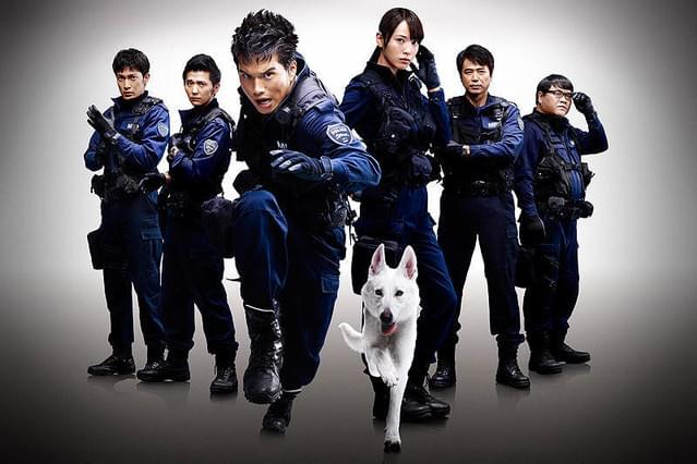 DOG×POLICE 純白の絆