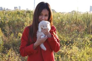 コネコノキモチ